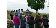 Pilgerandacht auf dem Hasunger Berg (Foto: Karl-Franz Thiede)